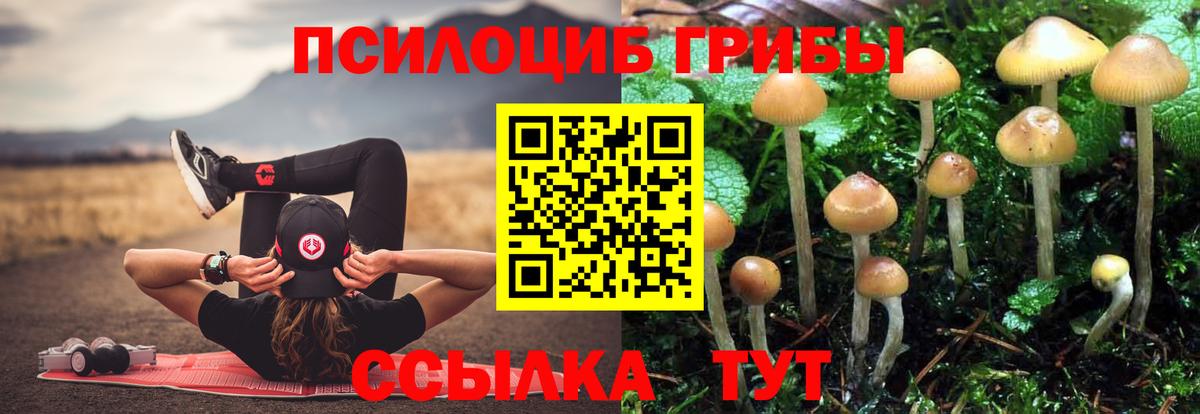 Псилоцибиновые грибы MAGIC MUSHROOMS Ачинск